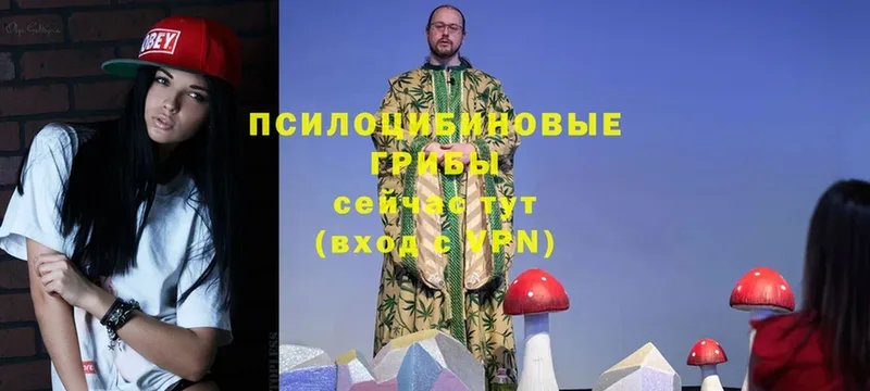 наркошоп  Кириши  Галлюциногенные грибы Magic Shrooms 